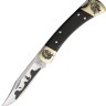 Custom Buck 110 | Lockback Chief