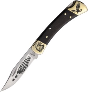 Custom Buck 110 Lockback | Eagle