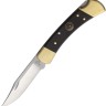 Cuchillo Cuchillo plegable | Navajas  Buck 110 Hunter 250 