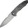 Cuchillo Cuchillo plegable | Navajas WE Knife Archeozoic | Titanium Gray Aluminum Foil CF
