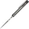 Cuchillo Cuchillo plegable | Navajas WE Knife Archeozoic | Titanium Gray Aluminum Foil CF