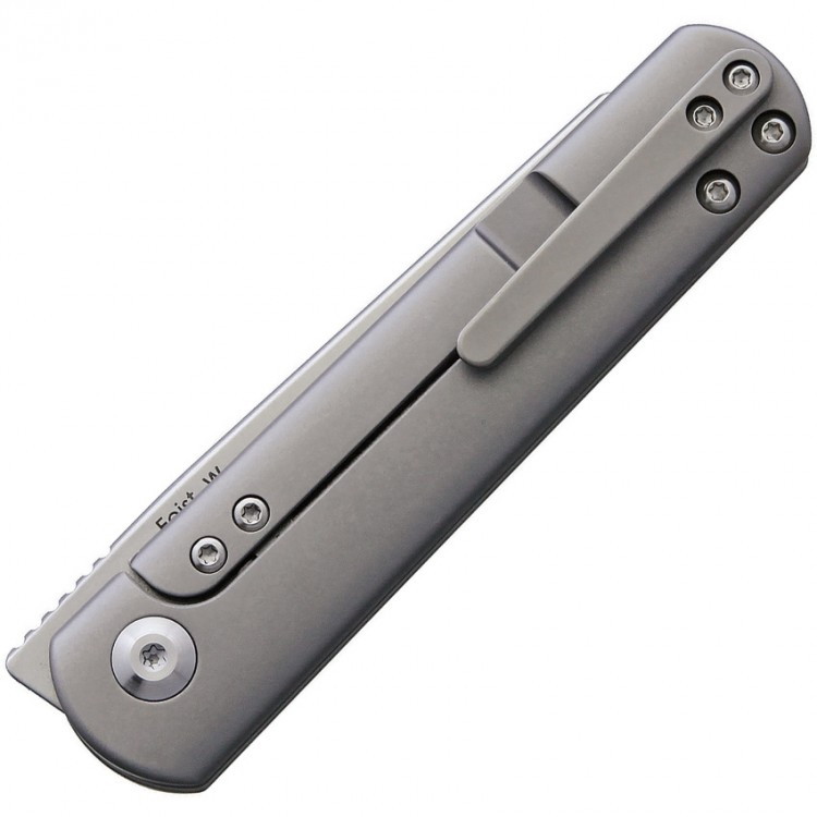 Kizer Cutlery Fiest Framelock folding knife Kizer Cutlery Fiest Framelock folding knife