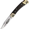 Custom Buck 110 Lockback Chief folding knife