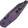 Taschenmesser Bestech Knives Snakebird | Purple