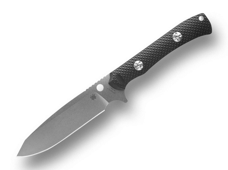 Feststehendes Messer Spyderco Skoli | G10