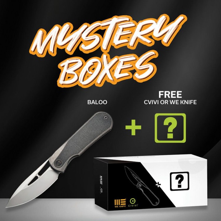 WE Knife Baloo 20CV Grey Ti Twill CF Mystery Box