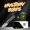 WE Knife Baloo 20CV Grey Ti Twill CF Mystery Box