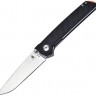 Kizer Cutlery Domin folding knife black