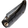 Cuchillo Cuchillo plegable | Navajas We Knife Riff-Raff | Damascus 