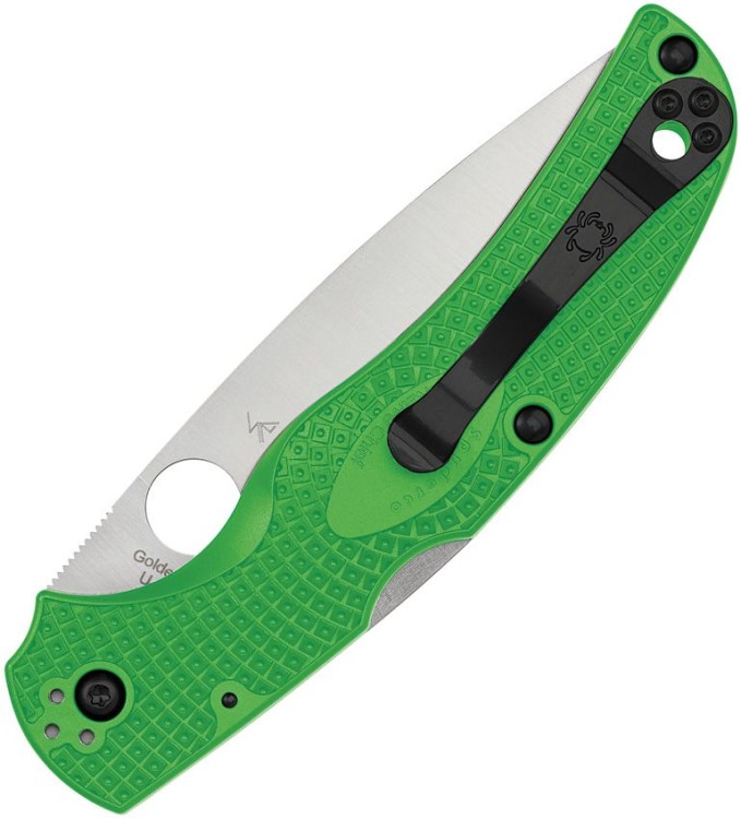 Taschenmesser Spyderco Native Chief Salt | Green