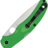 Spyderco Native Chief Salt | Green