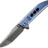 Cuchillo Cuchillo plegable | Navajas We Knife Ezinta | Damascus