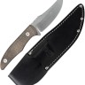 Feststehendes Messer Case Cutlery | Chris Taylor Hunter CT1