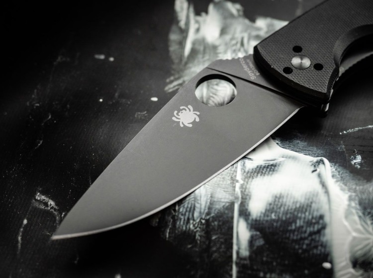 Cuchillo Cuchillo plegable Spyderco Tenacious Black, C122GBBKP