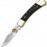 Складной нож Buck Weld Folding Hunter Limited 110BRSWD
