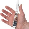 Cuchillo Cuchillo plegable | Navajas Case Cutlery Trapper Patriotic Color
