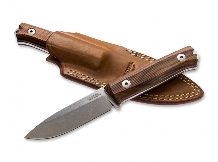Lionsteel B40 Santos, B40ST Lionsteel B40 Santos, B40ST