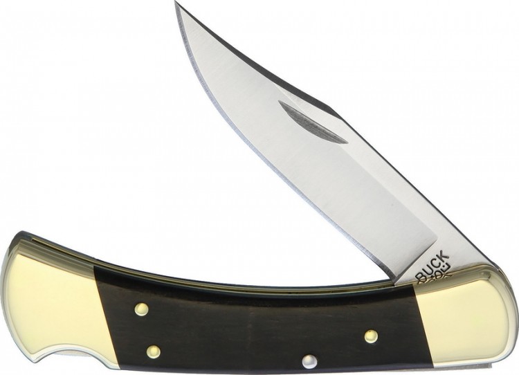 Buck Folding Hunter folding knife 110 Buck Folding Hunter folding knife 110