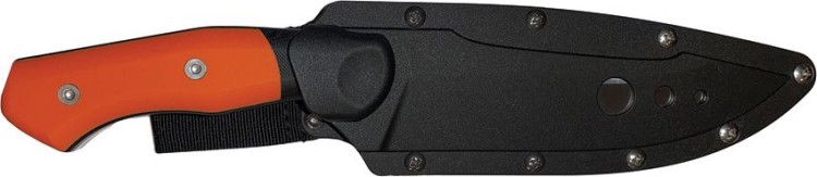 Begg Alligator Fixed Blade knife,Orange