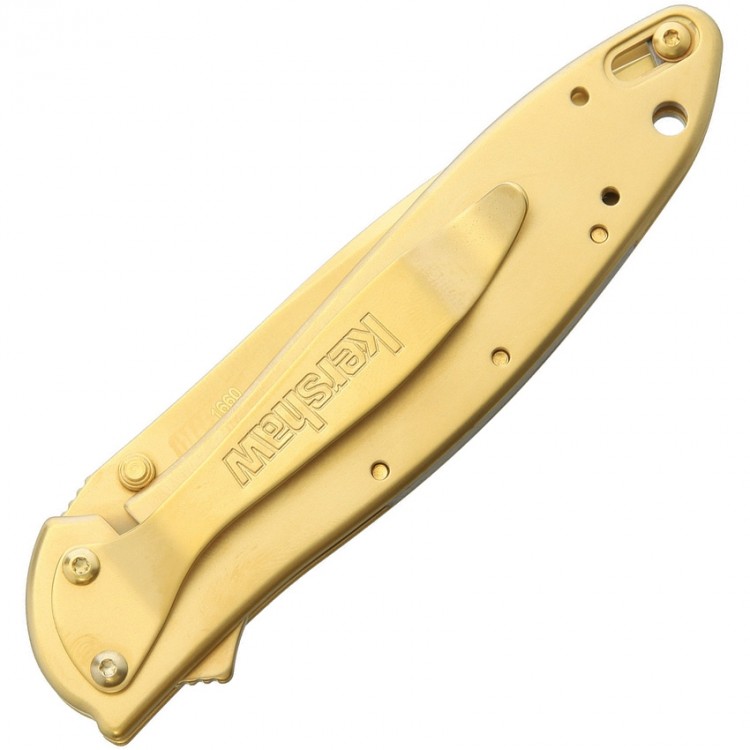 Cuchillo Cuchillo plegable Kershaw Leek A/O Gold 1660G