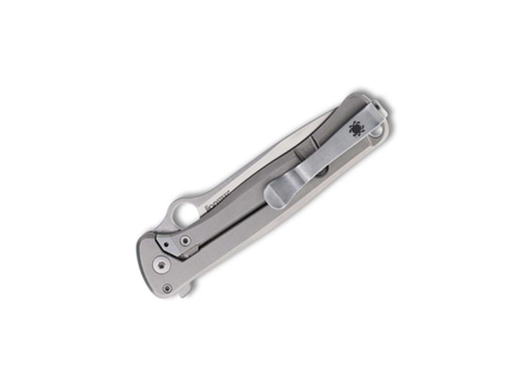 Taschenmesser Spyderco Thyn | M390 | Titanium 