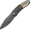 Cuchillo Cuchillo plegable | Navajas WE Knife Sine Wave M390 | Titanium Gray & Golden