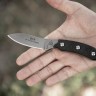 TOPS Bird and Trout Knife BTK02 knife