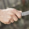TOPS Bird and Trout Knife BTK02 knife