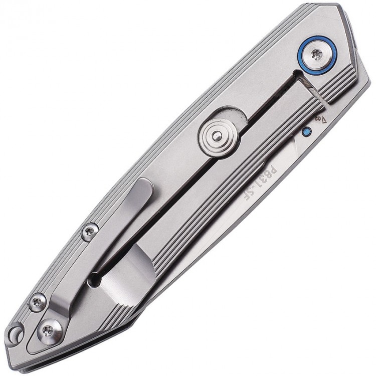 Ruike P831-SF Framelock folding knife